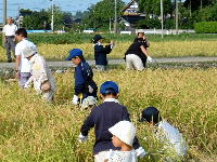 オーナーの収穫体験(子ども達も)