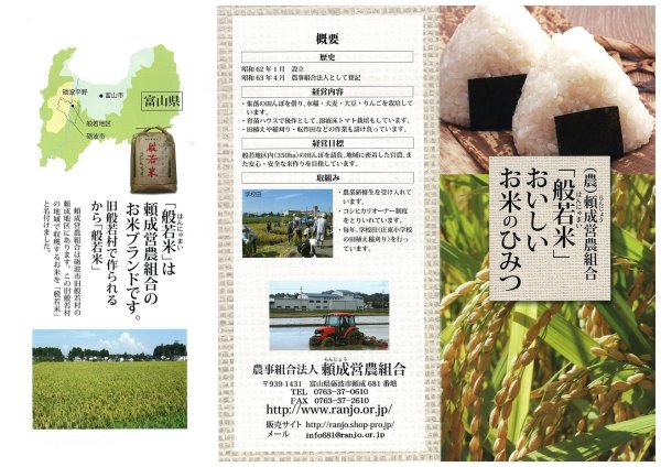 パンフレット表