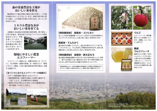 パンフレット裏