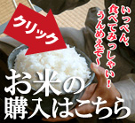 お米の購入はこちら